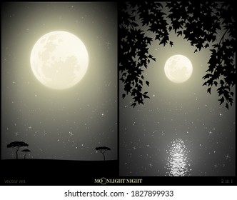 Landscape with lake framed by branches on moonlight night. Mysterious vertical background with savannah trees. Full moon in starry sky. Black and white vector illustration set for design, decor