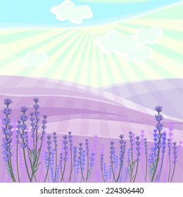 Landscape with lavender field