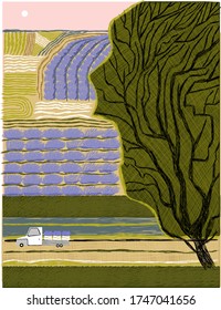 
paisaje con lavanda. Ilustración vectorial de verano con campos de lavanda, árbol, coche para impresión, postal, diseño, afiche, embalaje, cubierta.