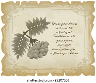 Landscape list in vintage style with branch of rowan berries