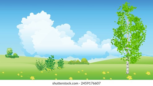 Landscape with a lonely birch tree in the field in the summer season. Vector illustration.