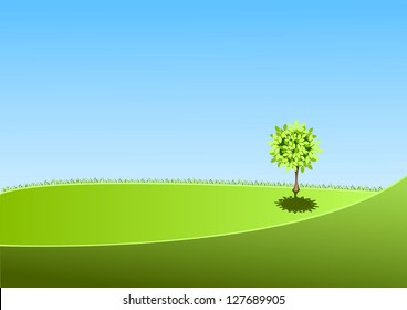 landscape with lonely tree