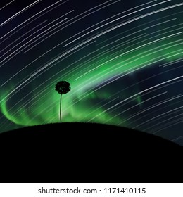 Landscape with lonely tree at night. Vector illustration with silhouette of maple on hill. Rotation of stars. Northern lights in starry sky. Colorful aurora borealis