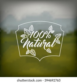 landscape low poly design 
