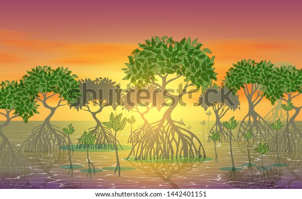 landscape of\
mangove forest on the beach in\
sunset