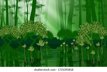 landscape of a mangrove forest at the beach at daytime  