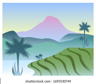 Landscape mountain palm tree sunlight