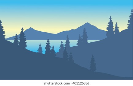 Landscape mountain with spruce at the morning