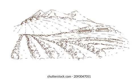 Paisaje con montañas, campos. Esbozo. Ilustración vectorial.
