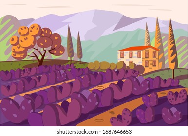 Landscape with mountains, lavender fields  