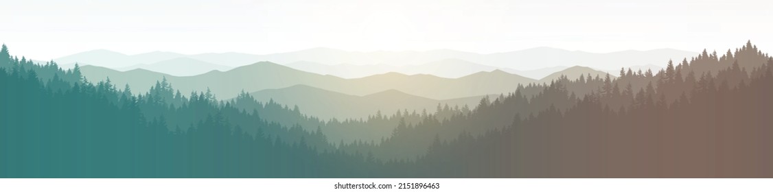 Landscape of mountains and pine forests at sunset.
 Vector Illustration of natural forest background.