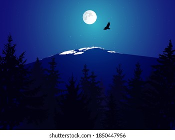 Landscape of mountains and pine trees. Moonlights.