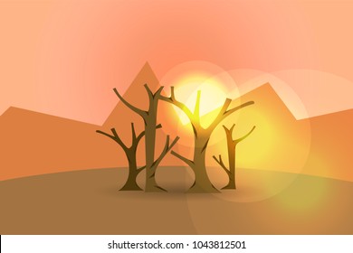 Landscape of naked trees at sunset.