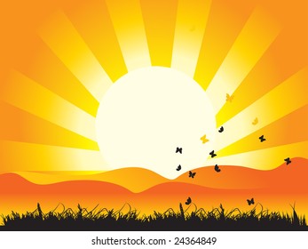 Landscape Nature Grass Butterflies Sun Stock Vector (Royalty Free ...