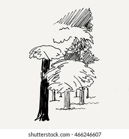 Landscape nature park trees and bushes. Ink traced illustration.