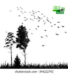 Landscape Nature Trees With Birds. Vector