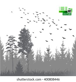 Landscape nature trees with birds. Vector
