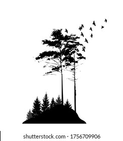 Landscape nature trees on the hill. Flying birds in the forest. Vector illustration