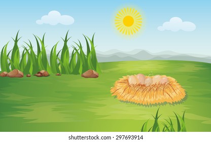 Landscape with nest and eggs