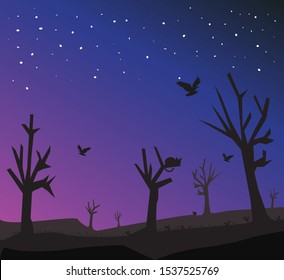 landscape night with fly bird in the sky