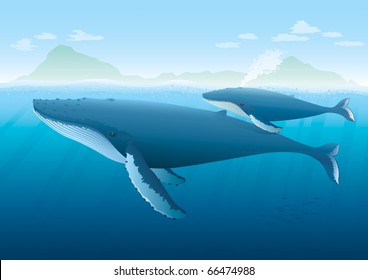Landscape with ocean and island with Humpback Whale mother and young whale swimming on surface.  "Full compatible. Created with gradients. Named in layers."