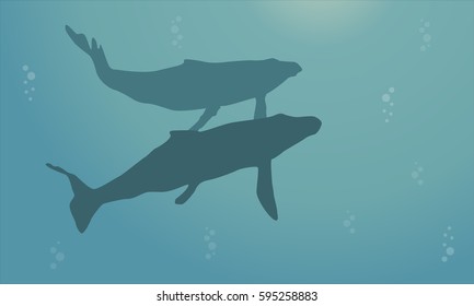 Landscape of ocean with whale silhouettes