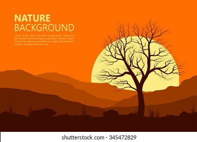Landscape with old tree at sunset. Vector illustration.