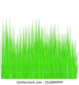 Landscape on the background. Vector illustration