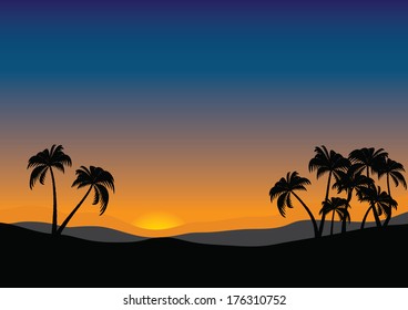 Landscape with palm at sunset
