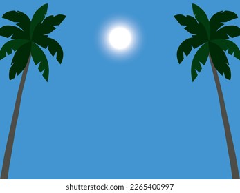landscape of palm trees at daytime