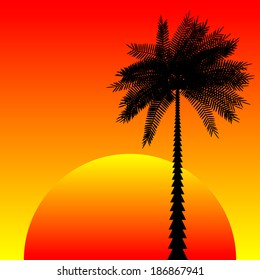 Landscape with palm trees at sunset - vector illustration.
