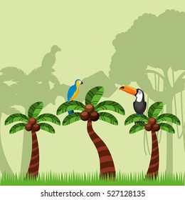 landscape of palms with macaw and toucan birds. brazil culture concept. colorful design. vector illustration