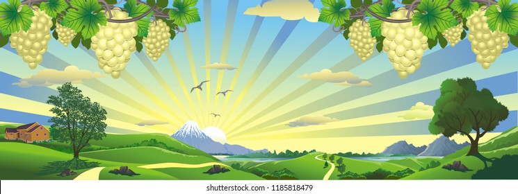 Landscape panorama with clusters of white grapes and a cottage on a hill. High mountains and a lake on the horizon. Vector illustration