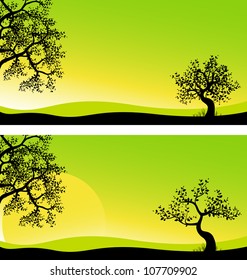 Landscape panorama, vector image sunrise, background for design