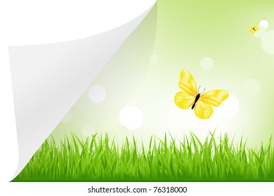 Landscape With Paper, Vector Illustration