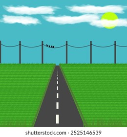 Paisagem com um caminho , grama, céu, nuvens, sol