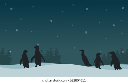 Landscape penguin on hill silhouettes