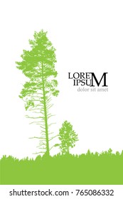 Landscape of a pine in a field