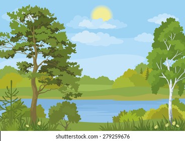 Landscape with Pine, Fir and Birch Trees, Grass and Flowers on the Shore of a Lake under a Blue Cloudy Sky with Sun. Vector