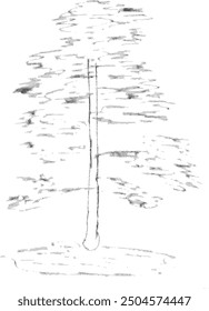Landscape, pine, tree, plant, nature. Pencil sketch illustration, vector hand drawn modern freehand 
