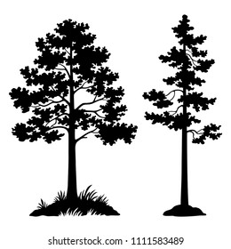 Landscape, Pine Trees Black Silhouette Isolated on White Background. Vector