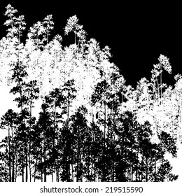 landscape with pine trees, hand drawn vector illustration