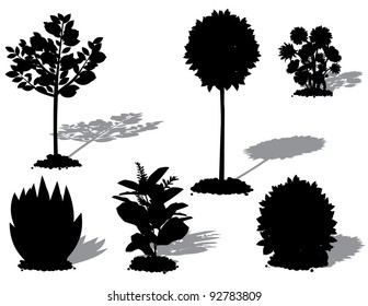 Landscape Plant Silhouettes EPS 8 vector, grouped for easy editing, no open shapes or paths.