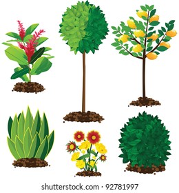 Landscape plants EPS 8 vector, no open shapes or paths, grouped for easy editing.