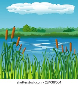 Landscape with pond and reed