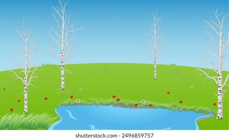 Landscape of puddle in the spring with birch trees, green grass and flowers. Vector illustration.