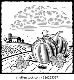 Paisaje con calabazas en blanco y negro. Vector