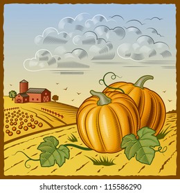 Landscape with pumpkins. Vector