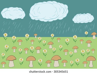 The landscape a rain waters a glade with mushrooms and camomiles