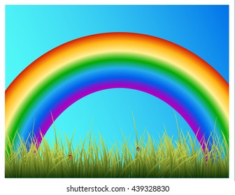 landscape with rainbow